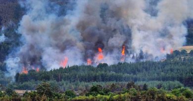 Частично бедствено положение в Харманли и Любимец заради пожари