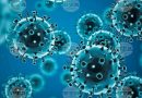 179 са новите случаи на коронавирус