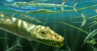 Откриха фосил на морски „дракон“, живял преди 240 милиона години