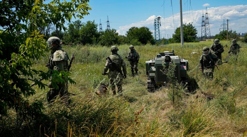 Ukrainian robots and drones