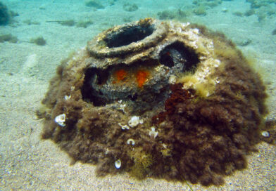 frontiers-in-marine-science-underwater-mine-munitions