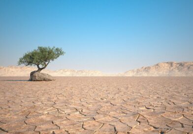 OON olanetata vav voden falit