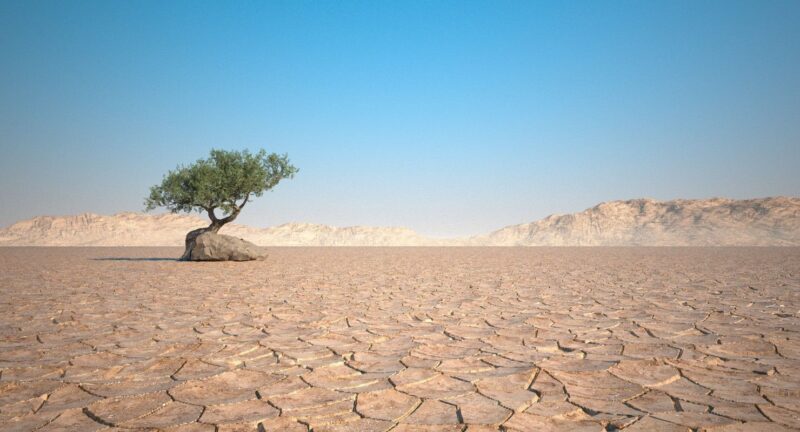 OON olanetata vav voden falit