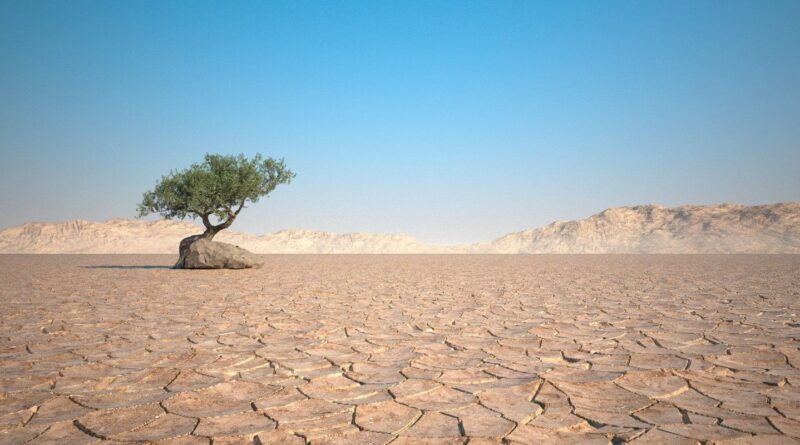 OON olanetata vav voden falit